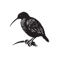 kiwi bird silhouette vector