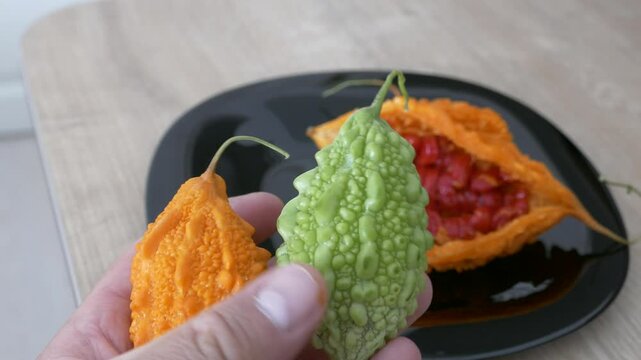 ripe and yellowed Momordica charantia (Mother melon) seeds of Momordica charantia, a medicinal fruit,