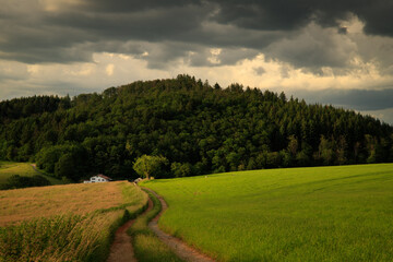 landscape in the mountains