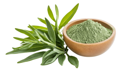 Fresh green herbal powder in a wooden bowl, surrounded by vibrant green leaves, ideal for health and wellness concepts.