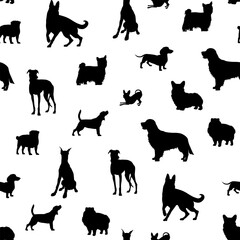 Vector seamless pattern with black dogs breeds silhouettes isolated on white background.
