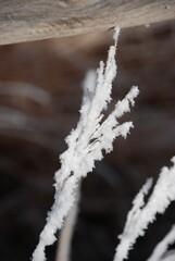 Winter in Wyoming 