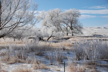 Winter in Wyoming 
