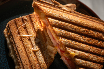 Toast with cheese