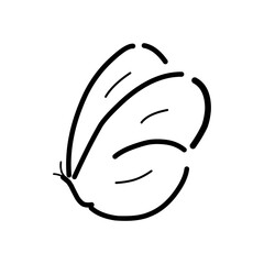 Butterfly  vector icon