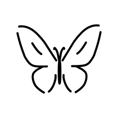 Butterfly  vector icon