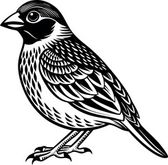 red billed quelea bird vector with white background