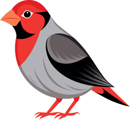 red billed quelea bird vector with white background