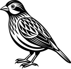 quelea bird vector with white background
