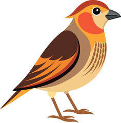 quelea bird vector with white background