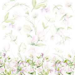 Seamless pattern and border of watercolor flowers of fragrant peas and butterflies. The illustration is hand drawn in pastel colors. Suitable for card designs, textiles and scrapbooking.