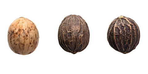 Three shea nuts isolated transparent background