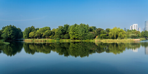 Fototapeta premium Tranquil Lakeside Reflection with Lush Greenery and Urban Backdrop
