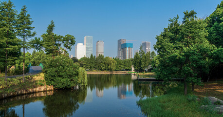 Serene Park Landscape with Urban Skyline Reflection