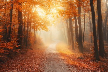 Fototapeta premium Autumn forest path. Orange color tree, red brown maple leaves in fall city park. Nature scene in sunset fog Wood in scenic scenery Bright light sun Sunrise of a sunny day, with generative ai