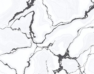 Obraz premium The image displays a close-up view of a surface with a marble-like pattern. It features a predominantly white background with intricate, dark gray veins running through it. The v