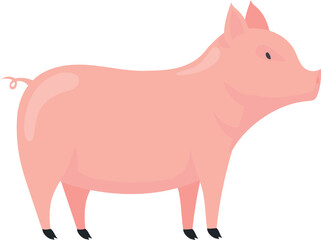 Pig color icon. Farm animal. Livestock symbol