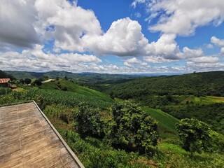Coffee, Sky Road, Mountain View, Thailand