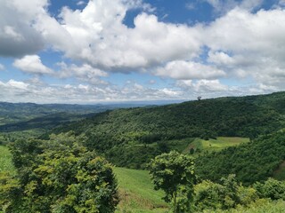 Coffee, Sky Road, Mountain View, Thailand