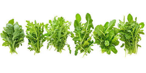 Obraz premium Fresh green arugula salad leaves isolated transparent background