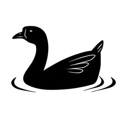 silhouette of a swan