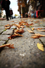 Autumn in Sultanahmet, Istanbul: Crowds Walking Among Fall Leaves on Cobblestone Streets