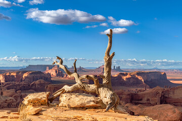 An old tree branch frames Hunt's Mesa overlook in Monument Valley