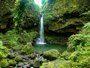 Emerald Pool wasserfall in Dominica