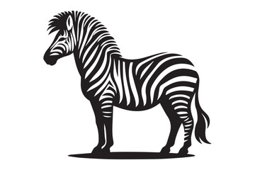 Zebra vector Illustration, simple vector art style