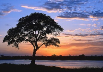 Silhouette of a tree during a colorful sunset over a calm lake