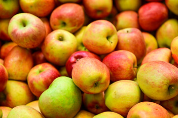 Fresh Apple at Holesovice Market, Holesovicka trznice in Prague, lively marketplace with stalls...