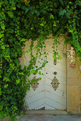 Alte TÃ¼r auf Mallorca
old door at mallorca