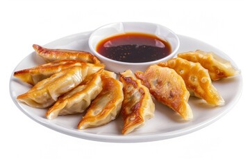 fried momos