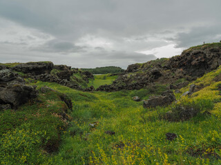 Lava Formation in Lake M&yacute;vatn, Iceland