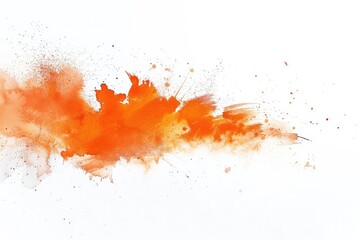 paint brush stroke texture orange watercolor spot blotch isolated