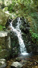 Beautiful natural waterfall with a stream of blue water alongside green trees