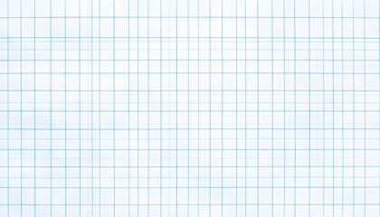 A clean, grid-like pattern with thin lines and ample spacing, providing structure without clutter