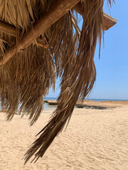 hammock on the beach