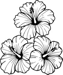 Illustration of hibiscus flower isolated on white background. Design element