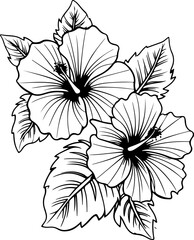 Illustration of hibiscus flower isolated on white background. Design element