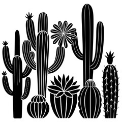 Cactus in the Desert Vector, Set of Icon, Cactus Vector Illustration