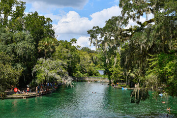 Natural freshwater spring at Wekiwa Springs State Park in Apopka, Florida just north of Orlando.