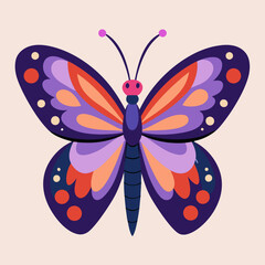 butterfly illustration