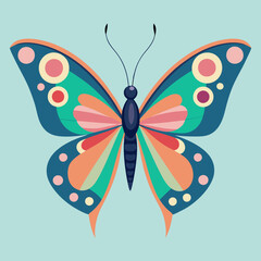 butterfly on white background