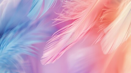 Fototapeta premium A soft, dreamy composition featuring delicate feathers in pastel shades of blue and pink, creating a serene and ethereal atmosphere.