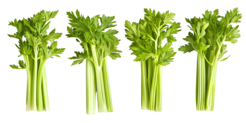 Fresh green celery stalks isolated transparent background
