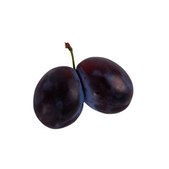 Pair of plums joined together as conjoined fruits set against transparent png backdrop