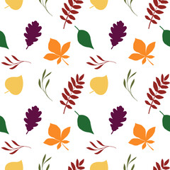 autumn green yellow red seamless pattern of different leaves, rowan berry, oak, chestnut, linden, birch, bright foliage botanical fall illustration, floral design, September, October background