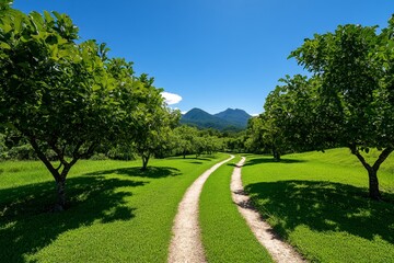 Fototapeta premium Apple Garden Organic Farming, Eco-friendly Practices, and Conservation depicted in a sustainable orchard where apple trees are cultivated using organic methods, surrounded by diverse wildlife