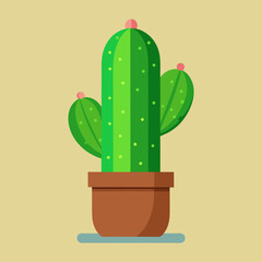 cactus in a pot